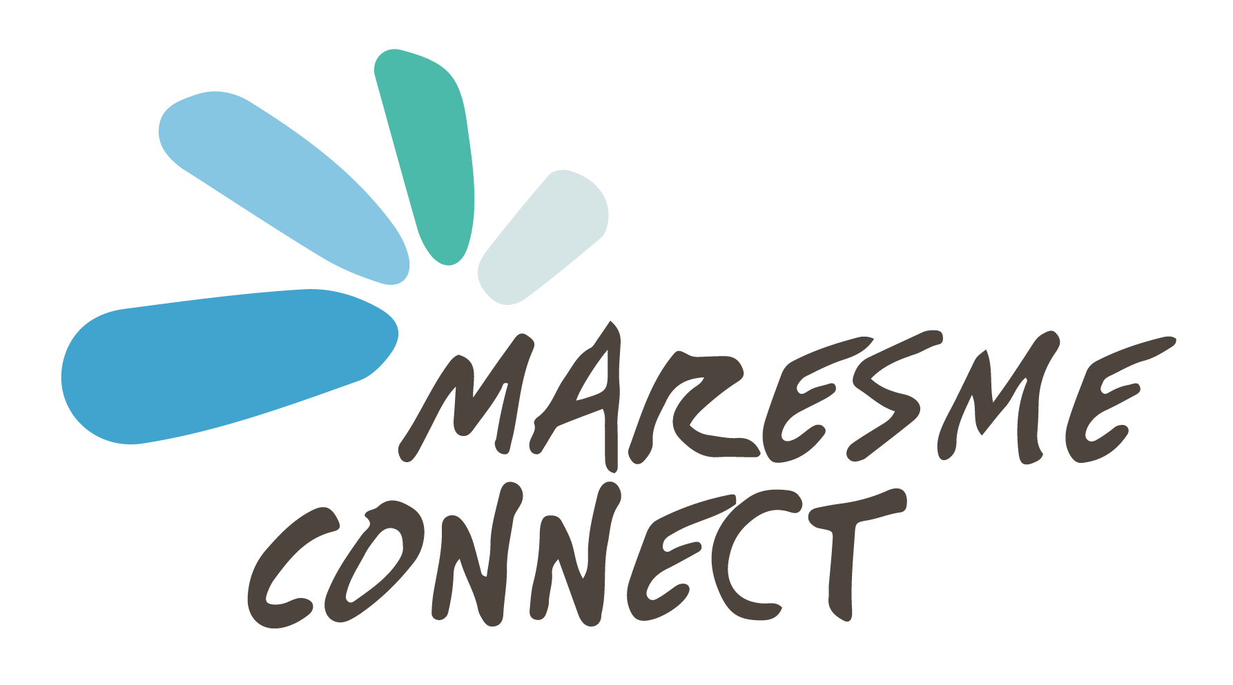 maresme connect logo